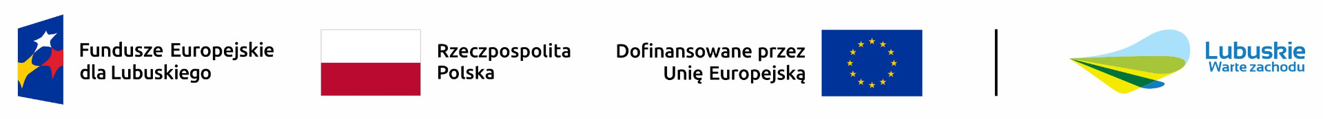 Logo Funduszy Europejskich